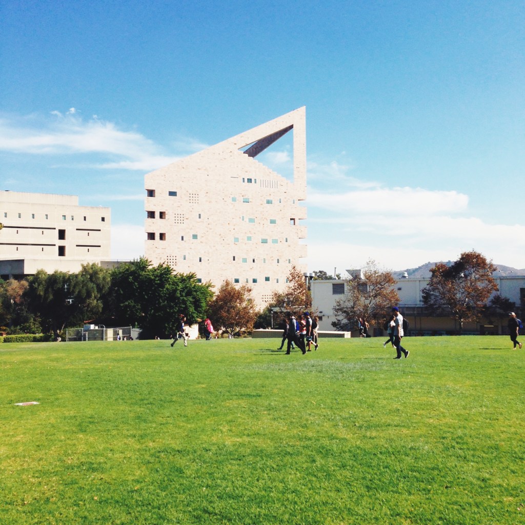 The photo in question. 