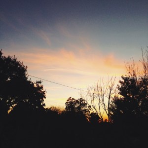 It's still warm here, but I can feel the weather beginning to change. 