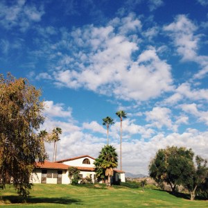 I didn't feel well this week, so seeing a beautiful blue sky while on an errand was very welcome.  