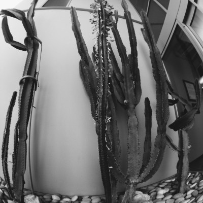 I don't take nearly enough black and white photos. 