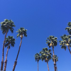 Paige and I have already been here once before, so there were some things we knew we wanted to revisit. While we were in town, we looked in a lot of the touristy shops and got some great sandwiches. Photo cred Paige. 