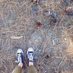 I have this thing with (forest) floors. 