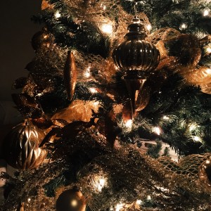 A detail shot of my family's Christmas tree. 