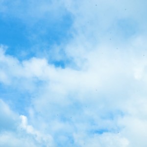 Seeing the sky open up on my way to work one morning made up for the time I spent in torrential downpour traffic. 