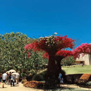 Saturday was wonderful. 