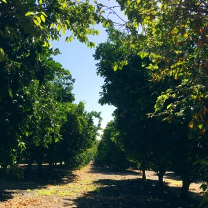 I love finding hidden spots on campus. 